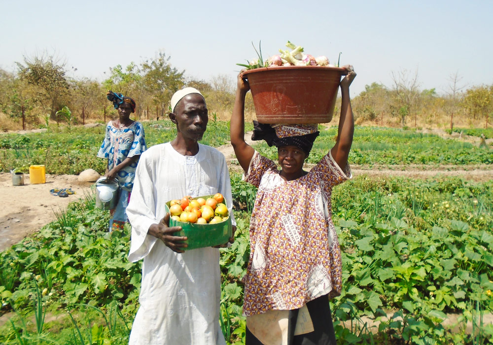 Mali Hausangestellte